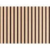 WoodPlast Akustický panel Breza