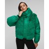 Goldbergh La Reine Ski ice green