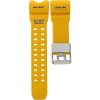Casio REMIENOK 2194