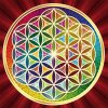 Diamantový obraz Mandala kvet života