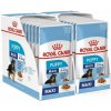 Royal Canin Maxi Puppy kapsička pre veľké šteňatá 20 x 140 g