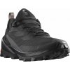 Obuv Salomon CROSS OVER 2 GTX Varianta: uk 9.5