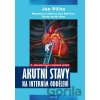 Akutní stavy na interním oddělení - Jan Piťha a kolektiv