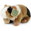 Rappa Plyšové morče - 17 cm - ECO-FRIENDLY