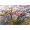 Komar Vliesová fototapeta Euphoria 300 x 200 cm