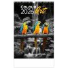 Kalendár nástenný 2026 - Colour Art