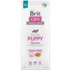 Brit Care Dog Grain-free Puppy Salmon 12 kg