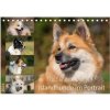 Islandhunde im Portrait (Tischkalender 2024 DIN A5 quer), CALVENDO Monatskalender