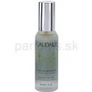 Caudalie Eau De Beauté skrášľujúci elixír pre žiarivý vzhľad pleti Beauty Elixir 30 ml