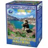 Everest Ayurveda DALCHINI - čaj pre horné dýchacie cesty 100 g