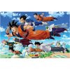 GB eye Dragon Ball Super Goku's Group 91,5 x 61 cm