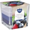 Aura Bispol Forest Fruits vonná sviečka 170g