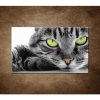 Obraz - Mačací pohľad 90x60cm