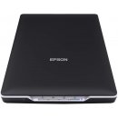 Epson Perfection V19