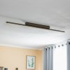 Stropné svietidlo Quitani Talon LED, eloxovaný bronz - 10015838