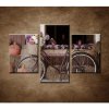 Bicykel a kvety - 3dielny 90x60cm