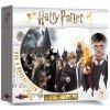 Harry Potter: Rok v Bradavicích