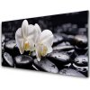 Sklenený obklad Do kuchyne Kamene zen biela orchidea 100x50 cm