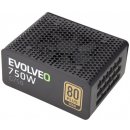 Evolveo 750W E-G750R