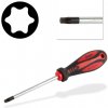 DEMA Skrutkovač torx T30x6x100