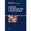 Anestezie a pooperační péče v cévní chirurgii - Pavel Michálek, Petr Štádler, Michael Stern