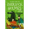 Sherlock Holmes vyšetruje: Strieborný lysko - Arthur Conan Doyle, Stephanie Baudet