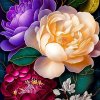 Gaira® Malovanie podľa čísel Kvety M38897