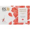 JAFTEA Secret Garden Tropical Hibiscus pyr. sáčky 10x1,5g (2932)
