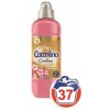 Coccolino Creations Honeysuckle and Sandalwood aviváž 37 PD 925 ml