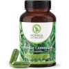 Moringa Caribbean Moringa Caribbean 60 kapsúl