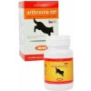Arthronis mini ACUTE CANIS sýrová příchuť 60 tbl