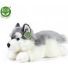 Rappa Plyšový pes husky ležiací 30 cm