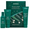 Aveda Darčeková sada vlasovej starostlivosti Botanical Repair