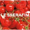 Le Sserafim - 1st Single Album ‘SPAGHETTI’ Vinyl: TOMATO RED Version (LP)
