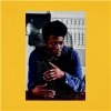 Benjamin Clementine - I Tell a Fly (Limited)