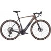Elektrobicykel Trek Checkpoint+ SL 5 Matte Bronze Age/Dark Web 2026 M/L