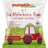 Pumpkin Organics BIO Pufované chrumky 20 g - Viaczrnné krúžky s jablkom a cejlónskou škoricou (8. mesiac)