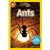 Ants (Melissa Stewart)(Brožovaná)