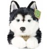 Rappa Plyšový pes husky 36 cm ECO-FRIENDLY