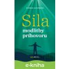 E-kniha Sila modlitby príhovoru - Kateřina Lachmanová