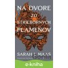 Na dvore zo strieborných plameňov - Sarah J. Maas
