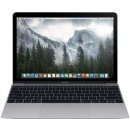 Apple MacBook MJY32SL/A