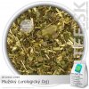 BYLINNÁ ZMES Mužský (urologický čaj) (40g)