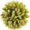 Umelá chryzantéma zelená 14 cm