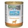 Farmina Vet Life dog Convalescence konzerva 300 g