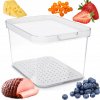 Rotho Organizér do ledničky Cauma box 2,15 L