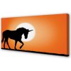 Obraz na plátne Sunset Unicorn 100x50 cm