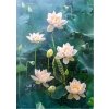 CHERRY PAZZI Bílý lotus 1000 dielov