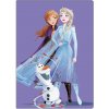 BrandMac Fialová detská deka Frozen II