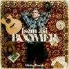 Horák Michal - Jsem asi boomer [CD]